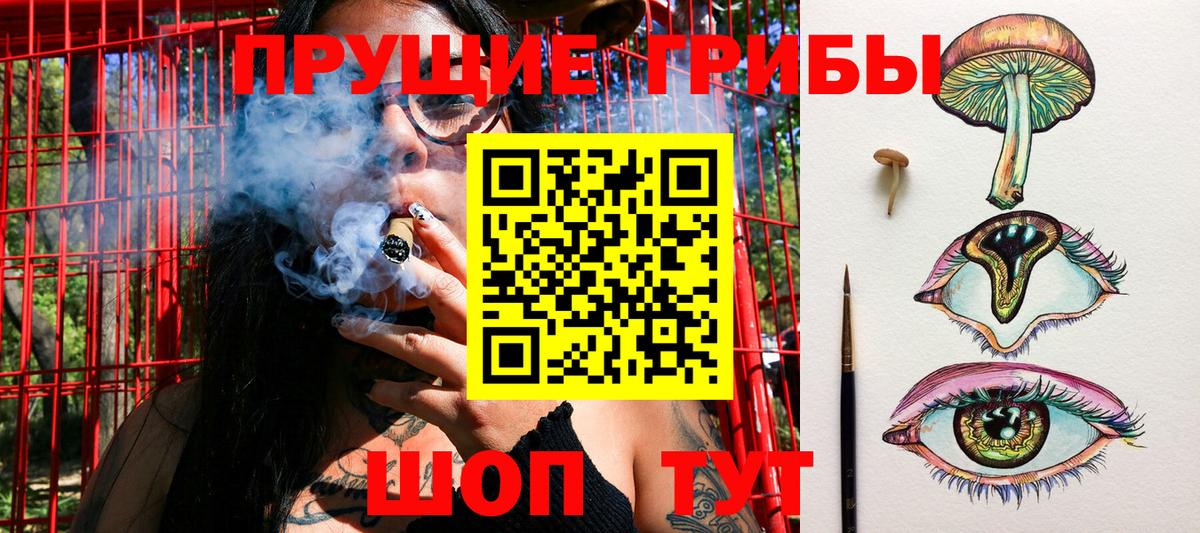 Белогорск  Псилоцибиновые грибы Psilocybine cubensis  Вход с VPN 