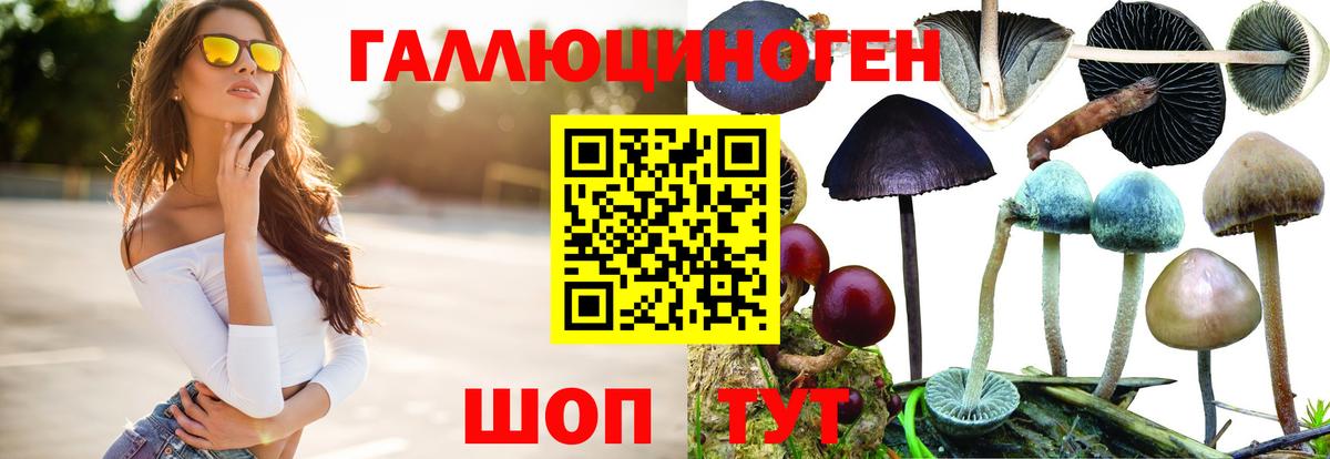 Галлюциногенные грибы ЛСД Белогорск
